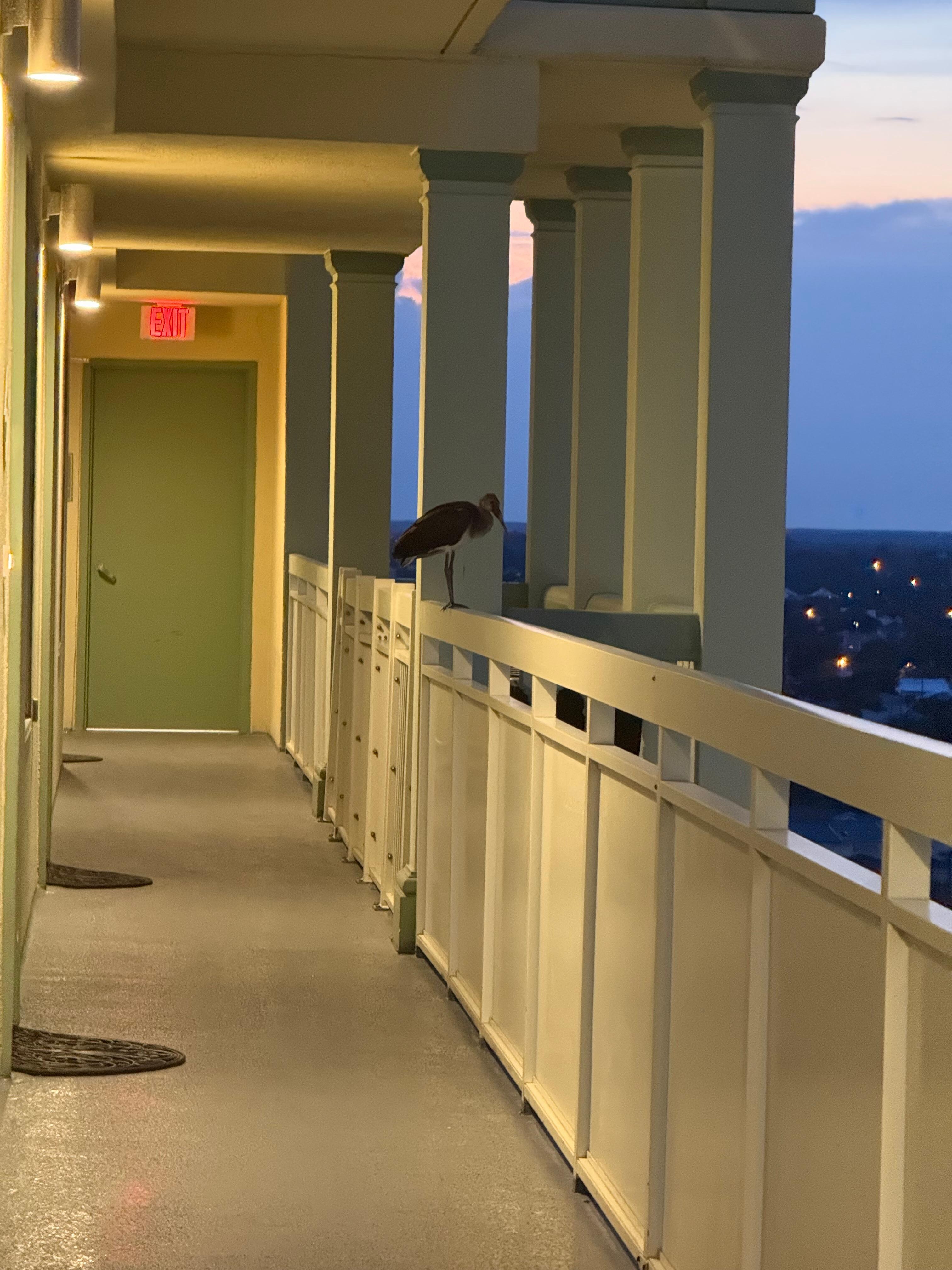 Friendly Visitor Front  Balcony 15th floor