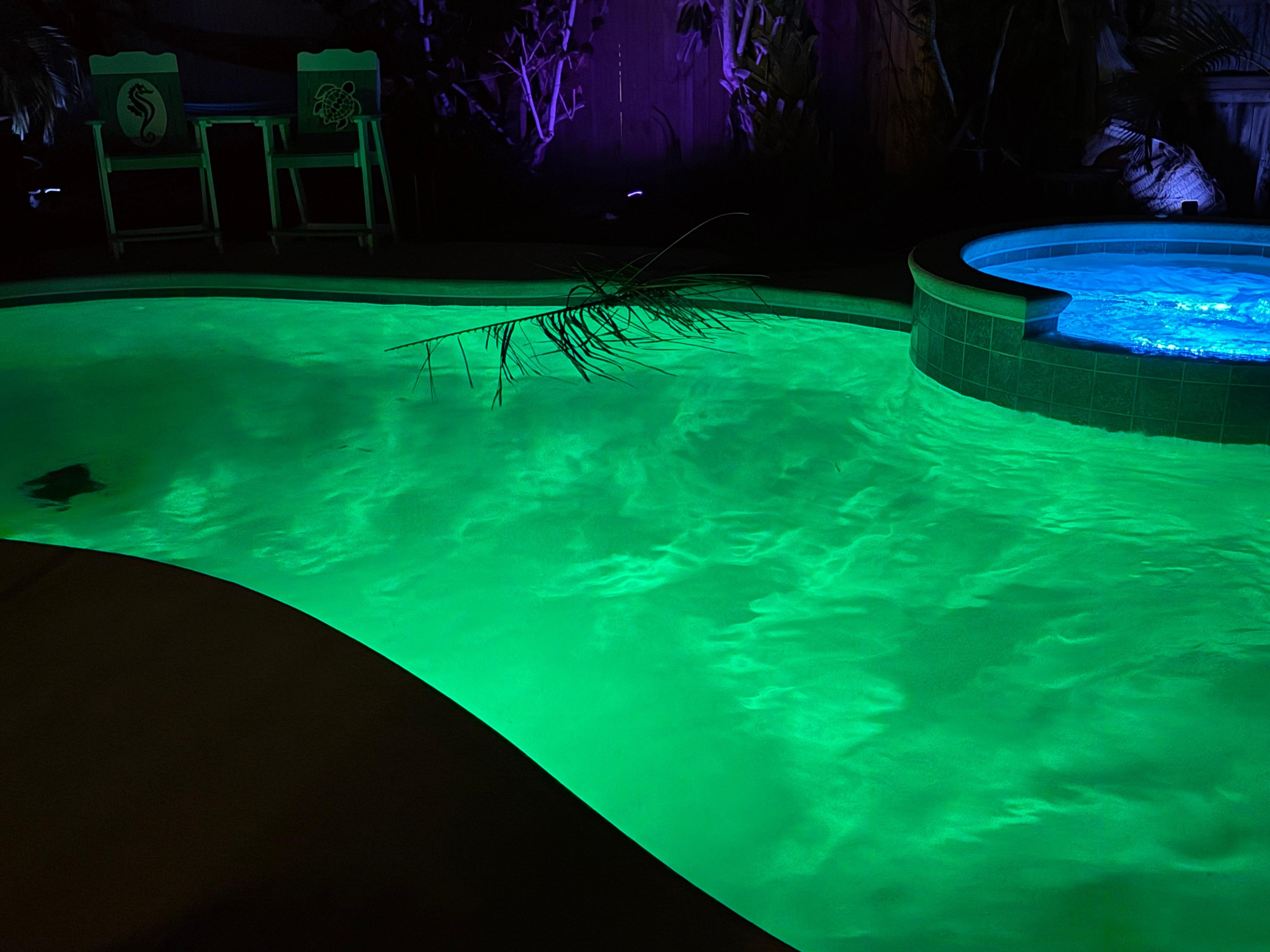 Beautiful backyard oasis