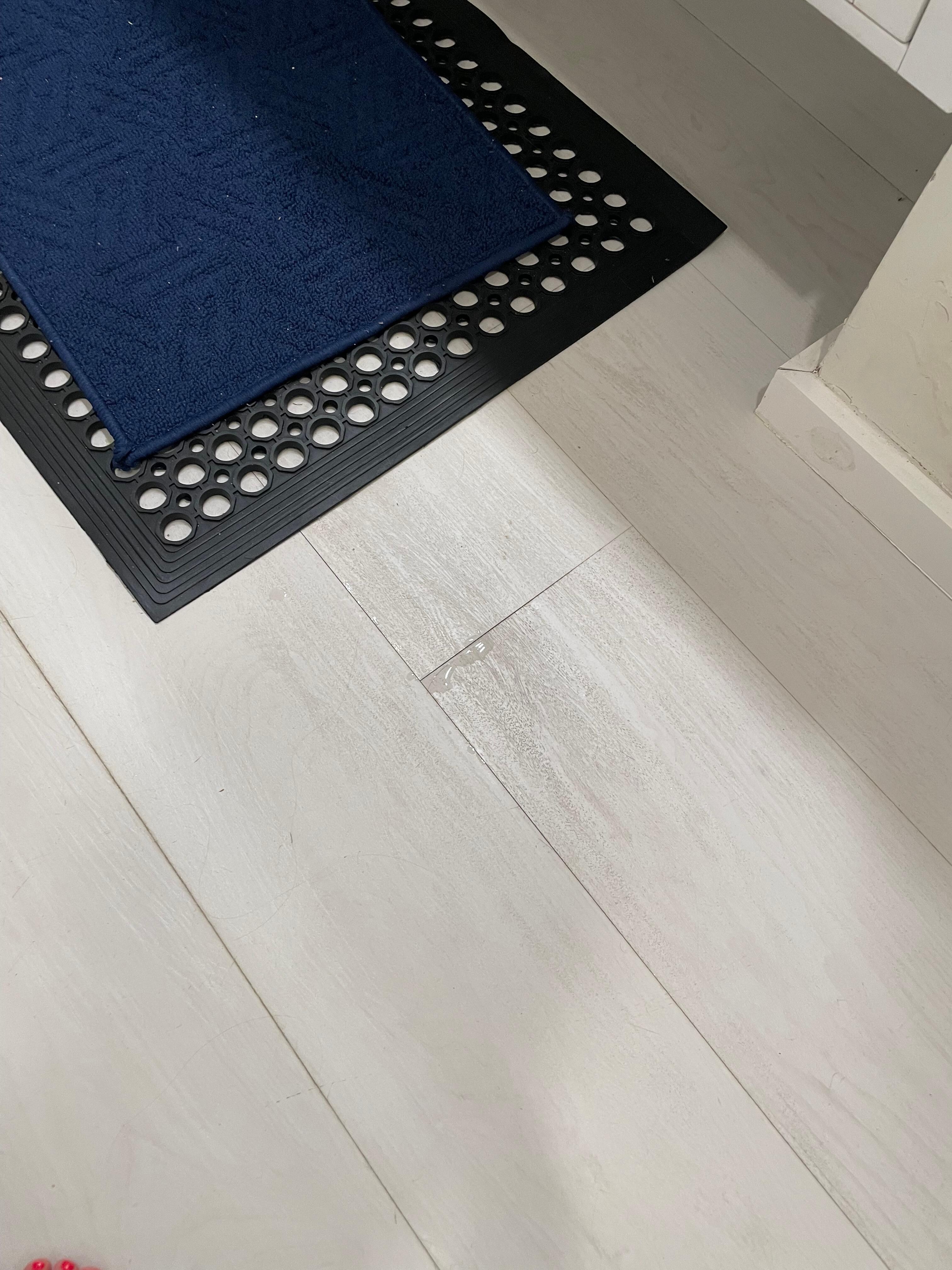 Water seeping in. The whole floor had water puddles 