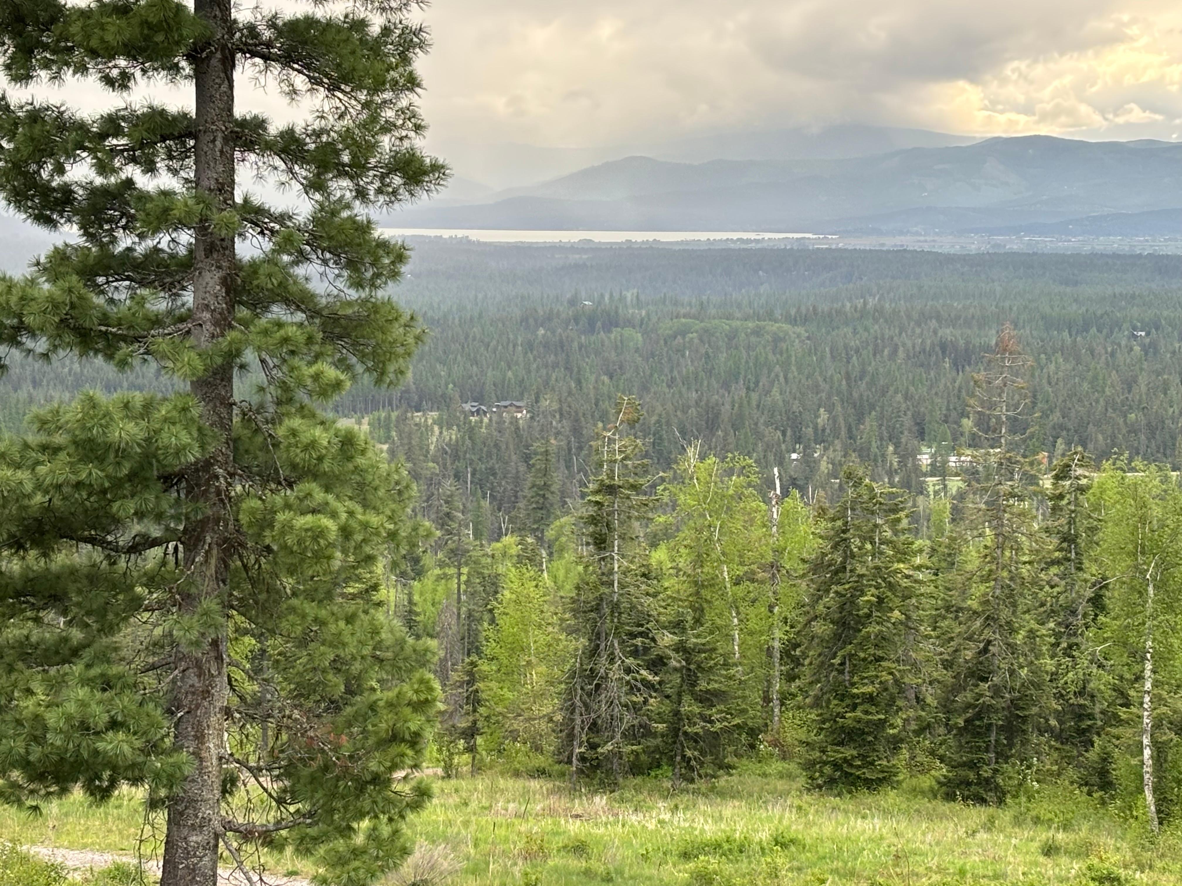 View from cabin.