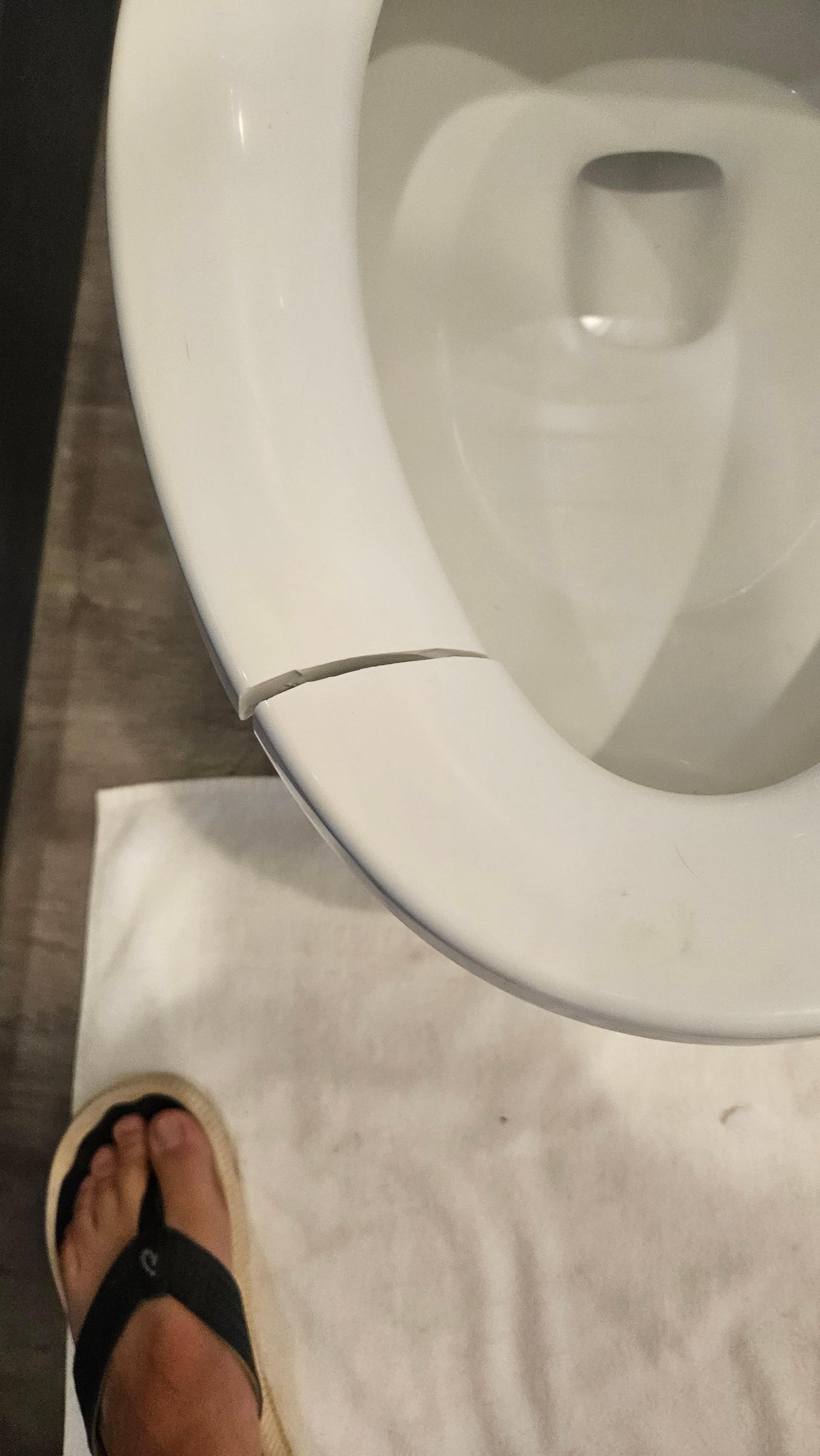 Broken toilet seat