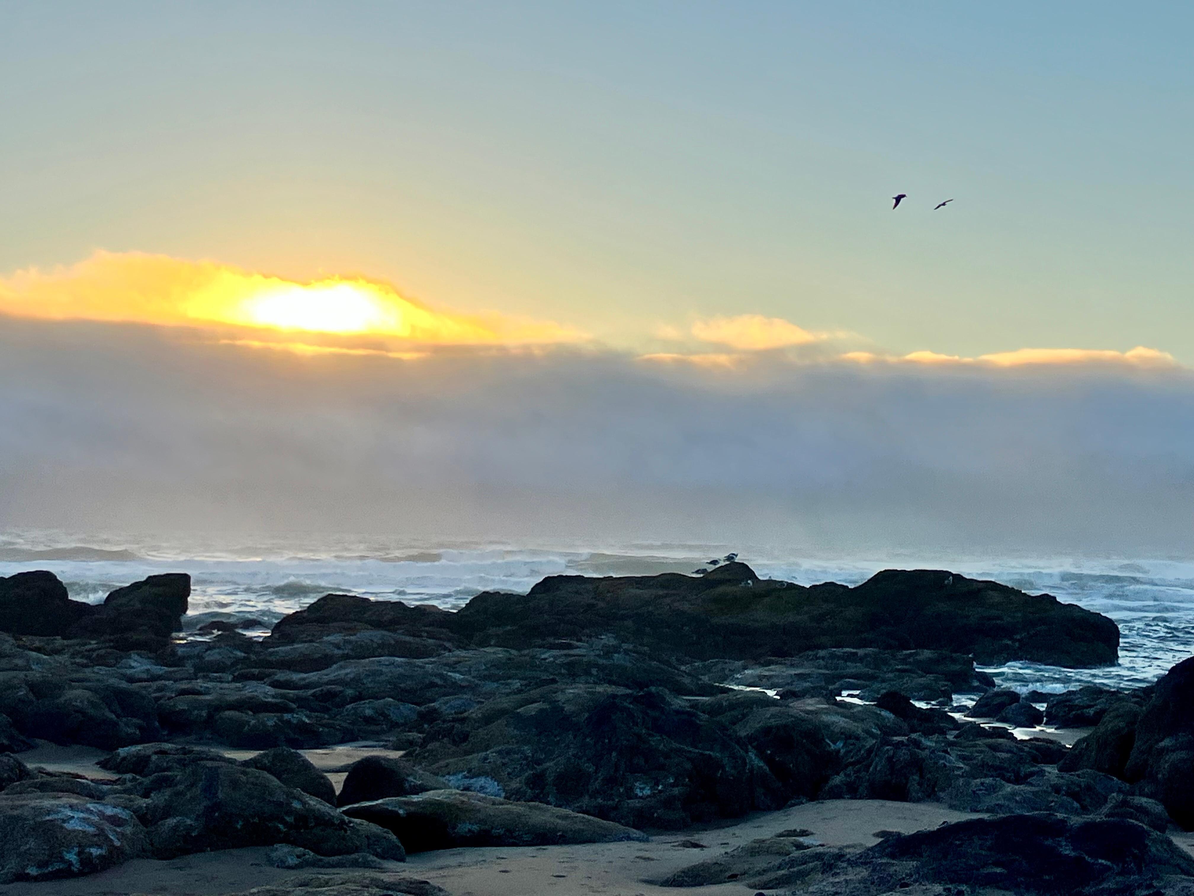 Great areas to look in tide pools when the tide was out. Right down the stairs to the beach.