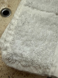 Pubic and/or facial hair non dingey white face cloth