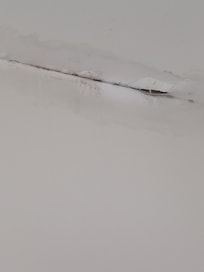 Damp spot