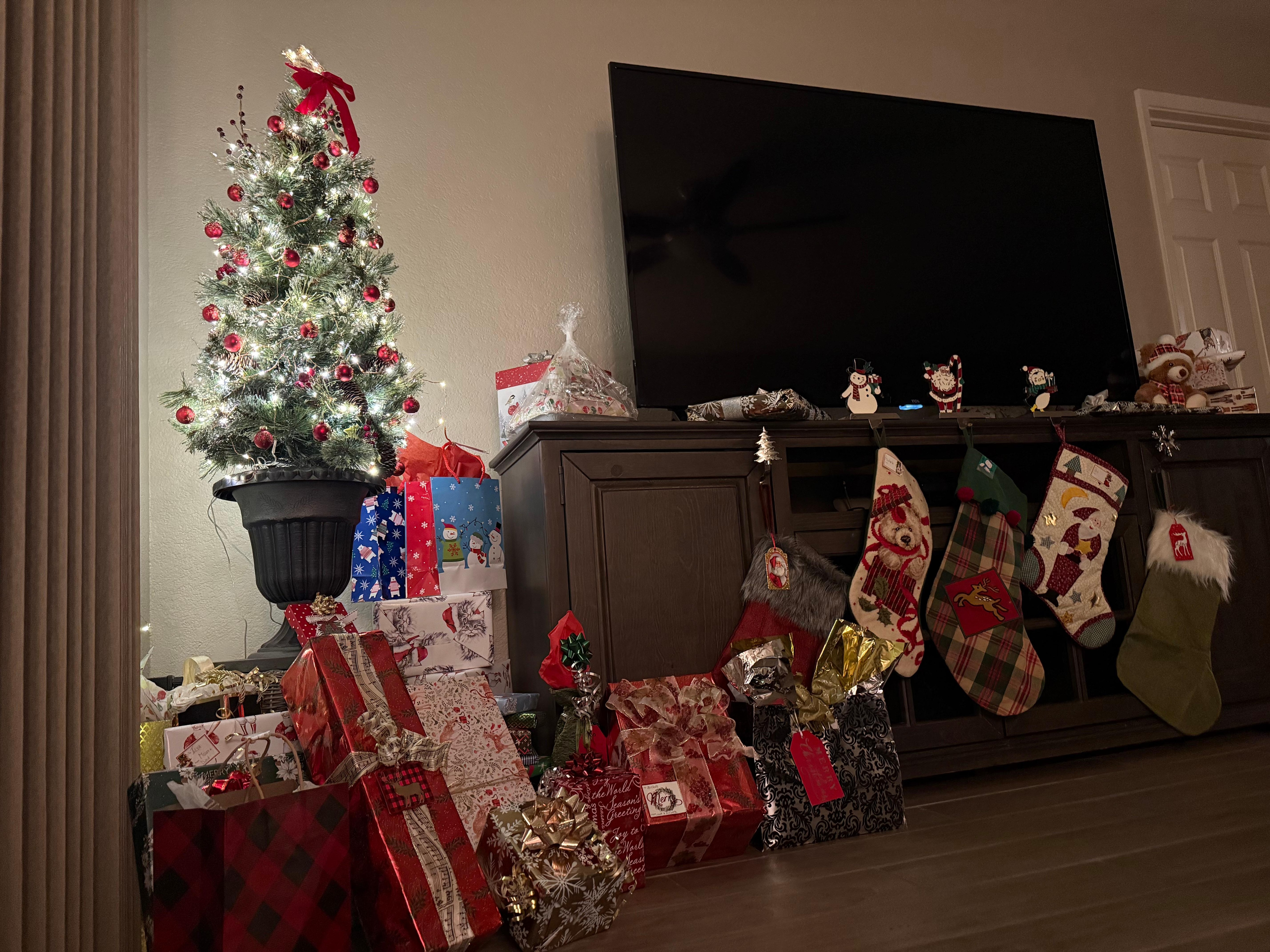 We were able to enjoy a small tree over the holidays!