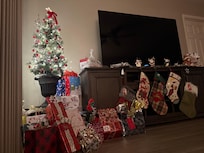 We were able to enjoy a small tree over the holidays!