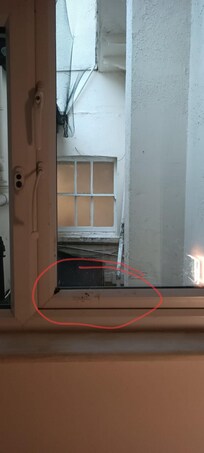 Eingetrockneter Taubenkot am Fensterrahmen innen