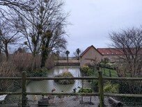 The resident duck and geese pond!