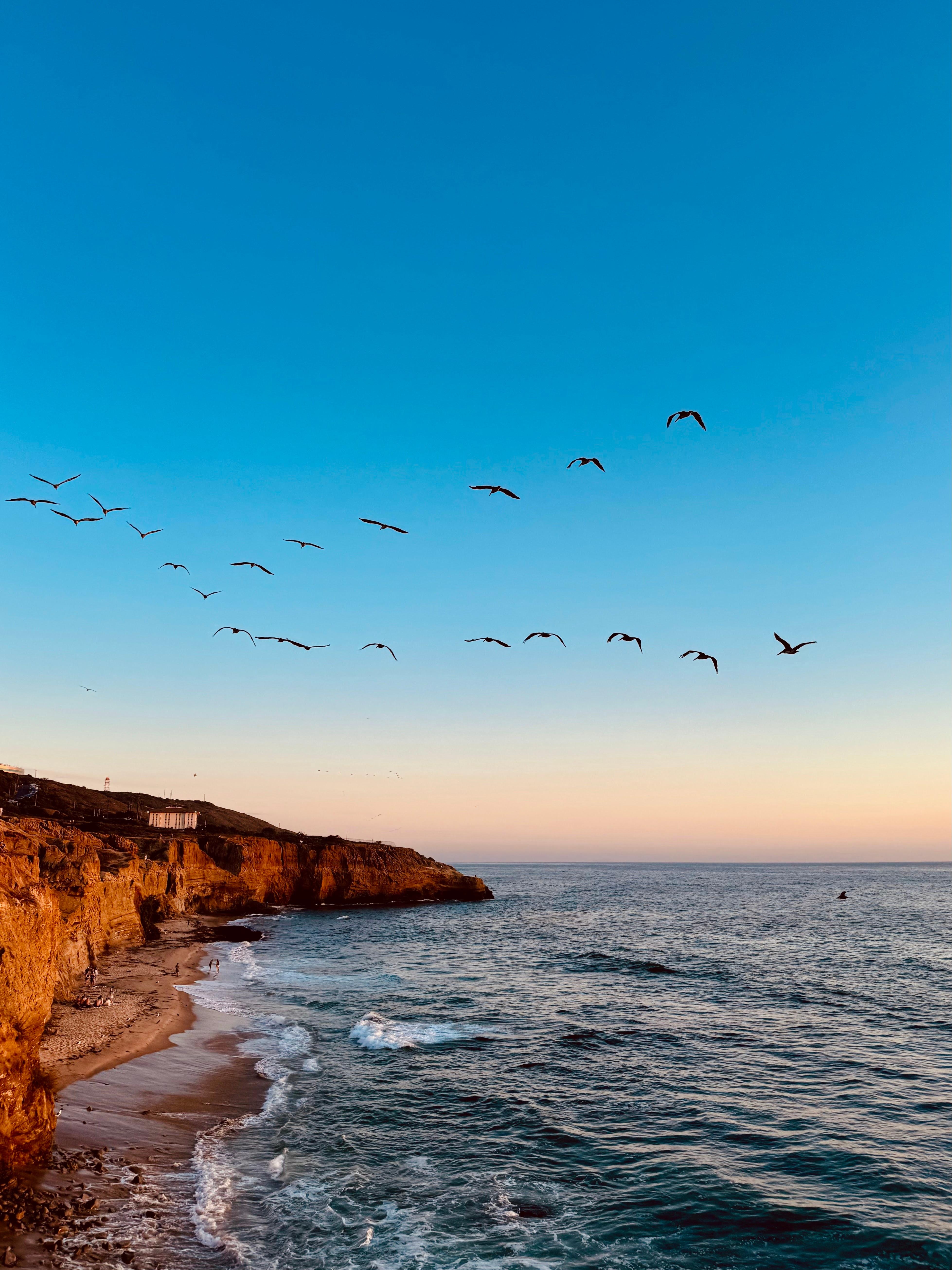Sunset cliffs right outside condo 