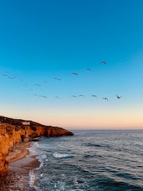Sunset cliffs right outside condo