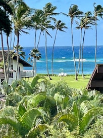 View from lanai