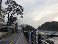 산책길에 바라본 천지연크리스탈호텔이에요. 칠십리교를 통해서 서귀포시립해양공원과 천지연폭포 걸어서 가능요.