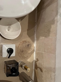 The bathroom