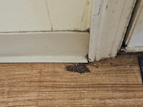 Mold next to entrance door