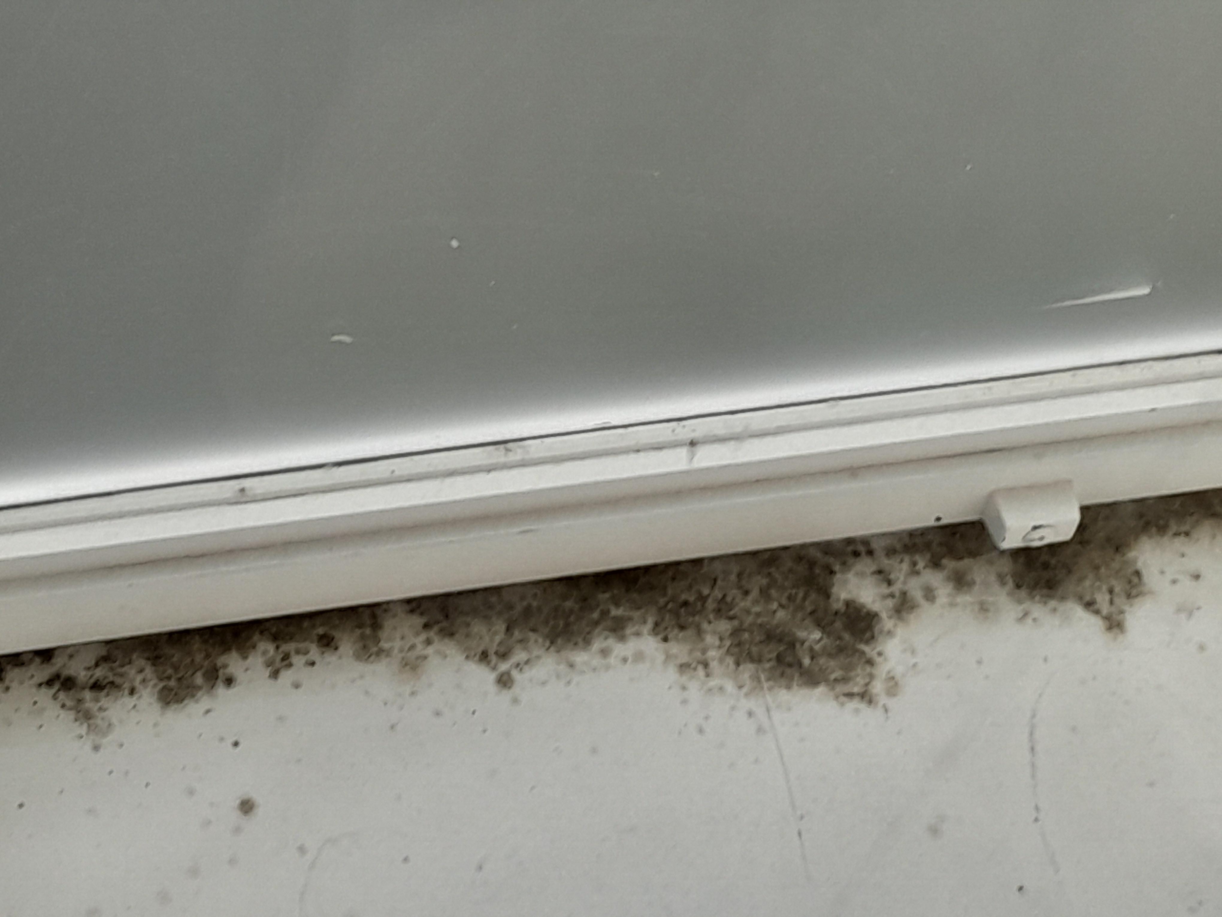 It looks like black mould. I hope it isn't. 