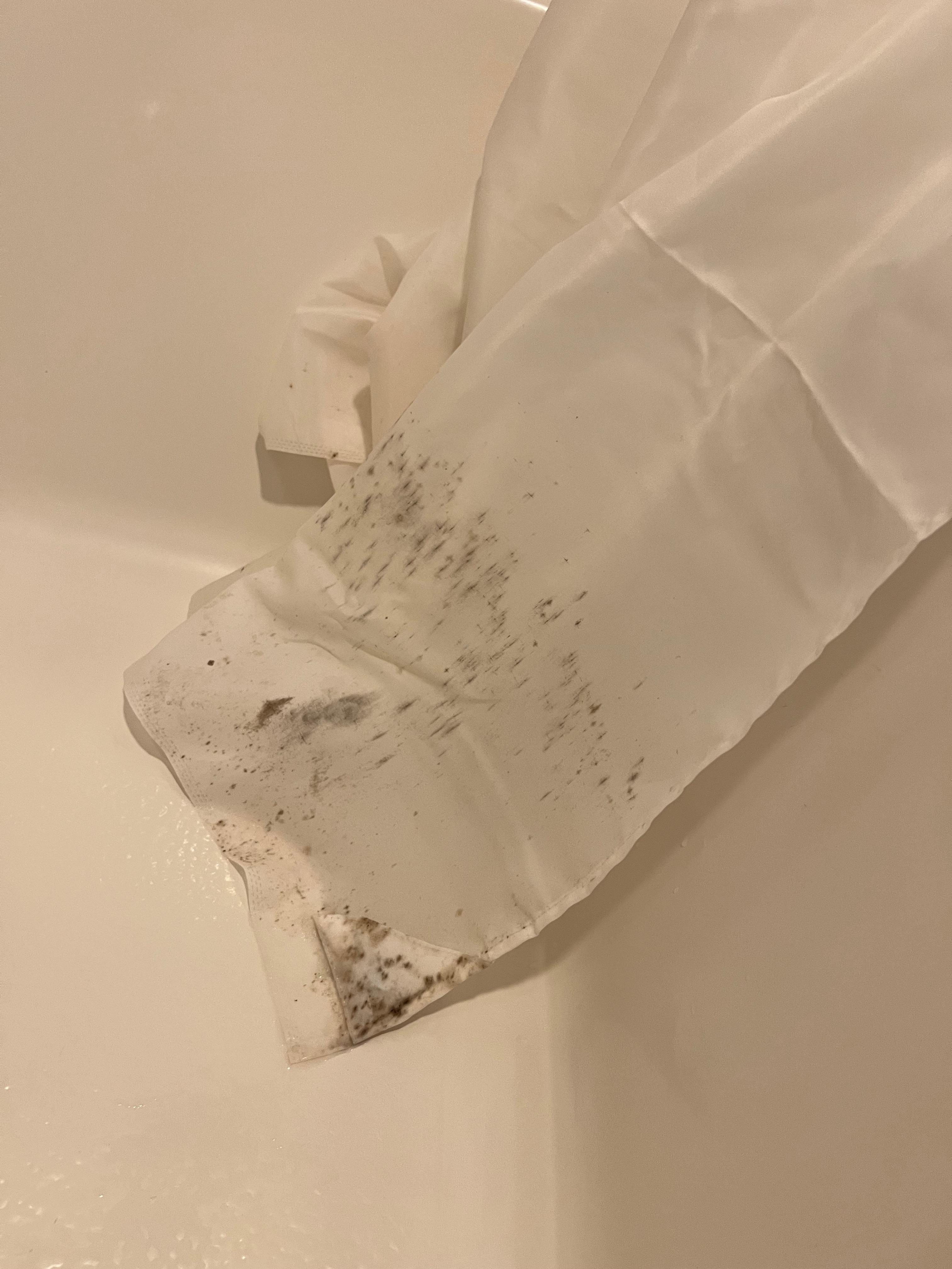 Mildew on shower curtain 