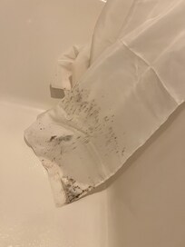Mildew on shower curtain