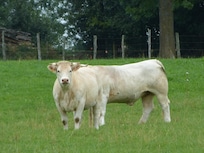 Curiosité du hameau