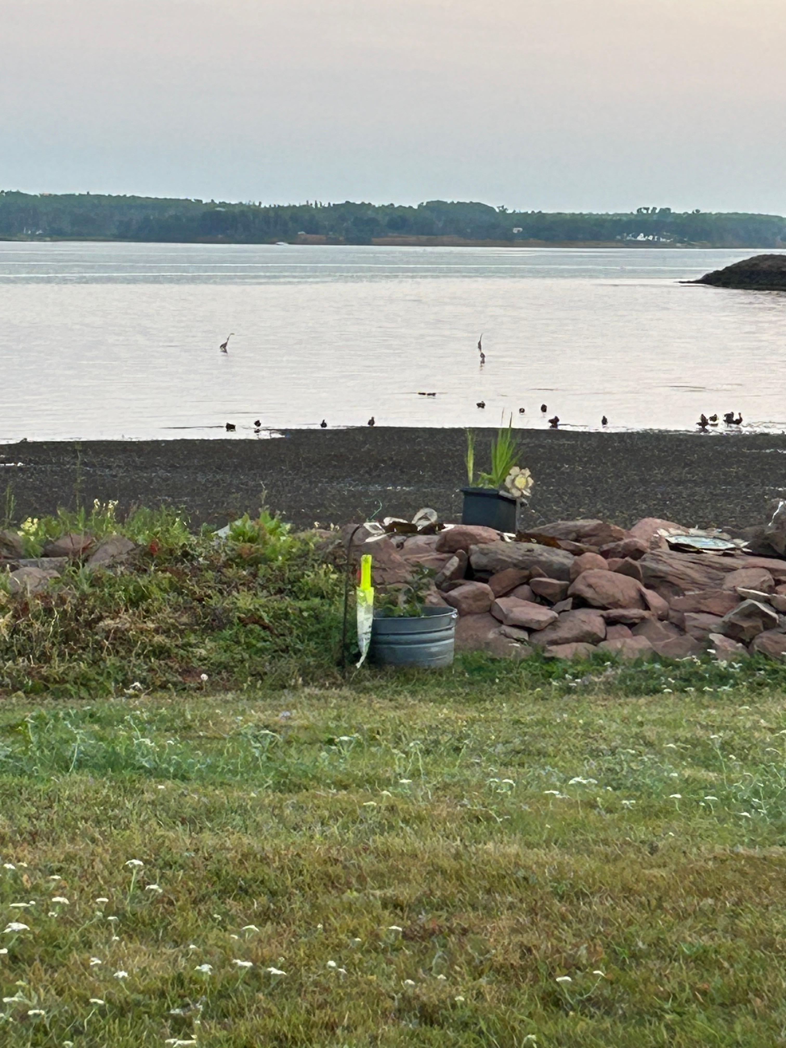 Vue des chaises à l’arrière de la maison 