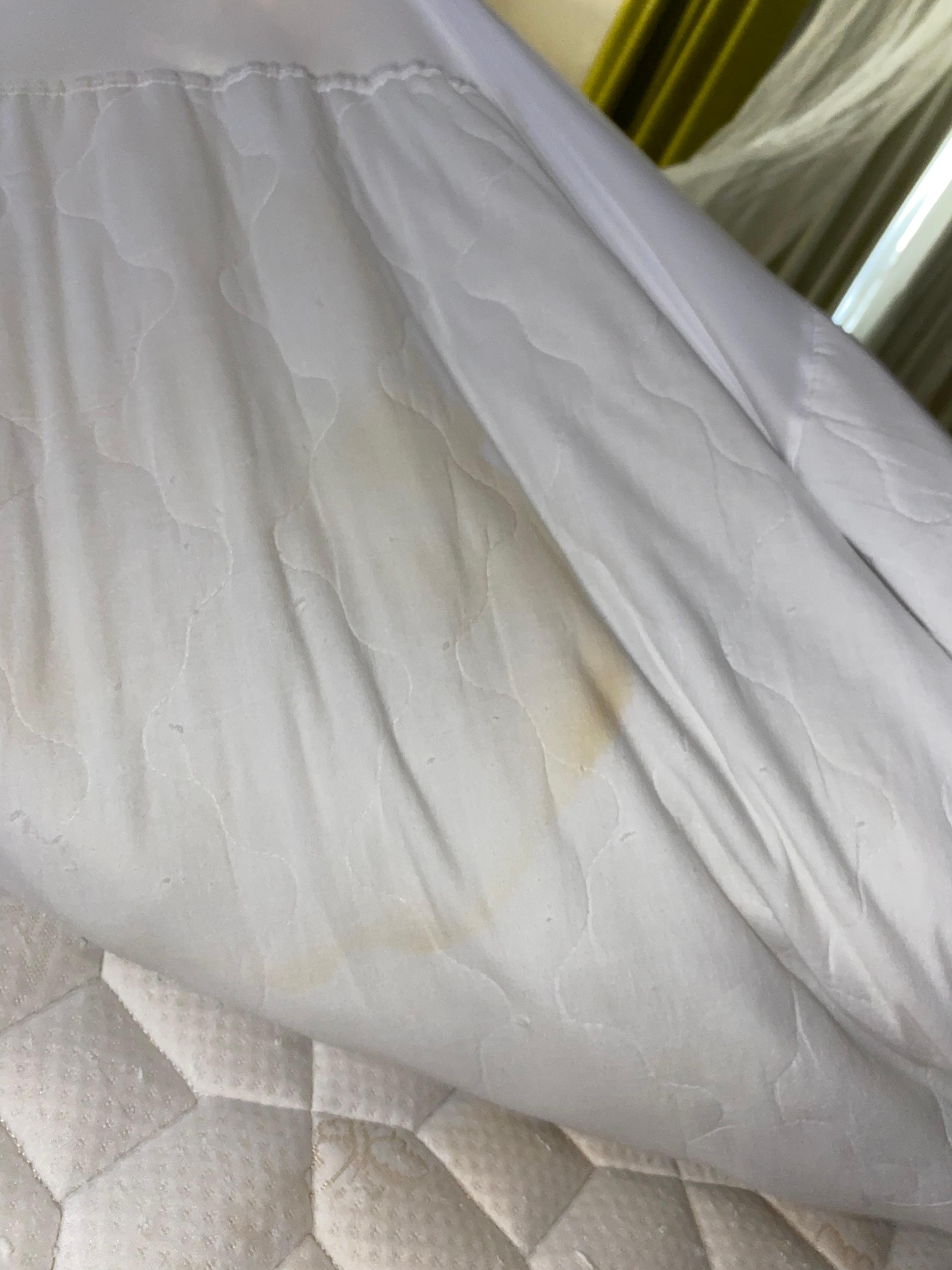 pee stain on sheet 