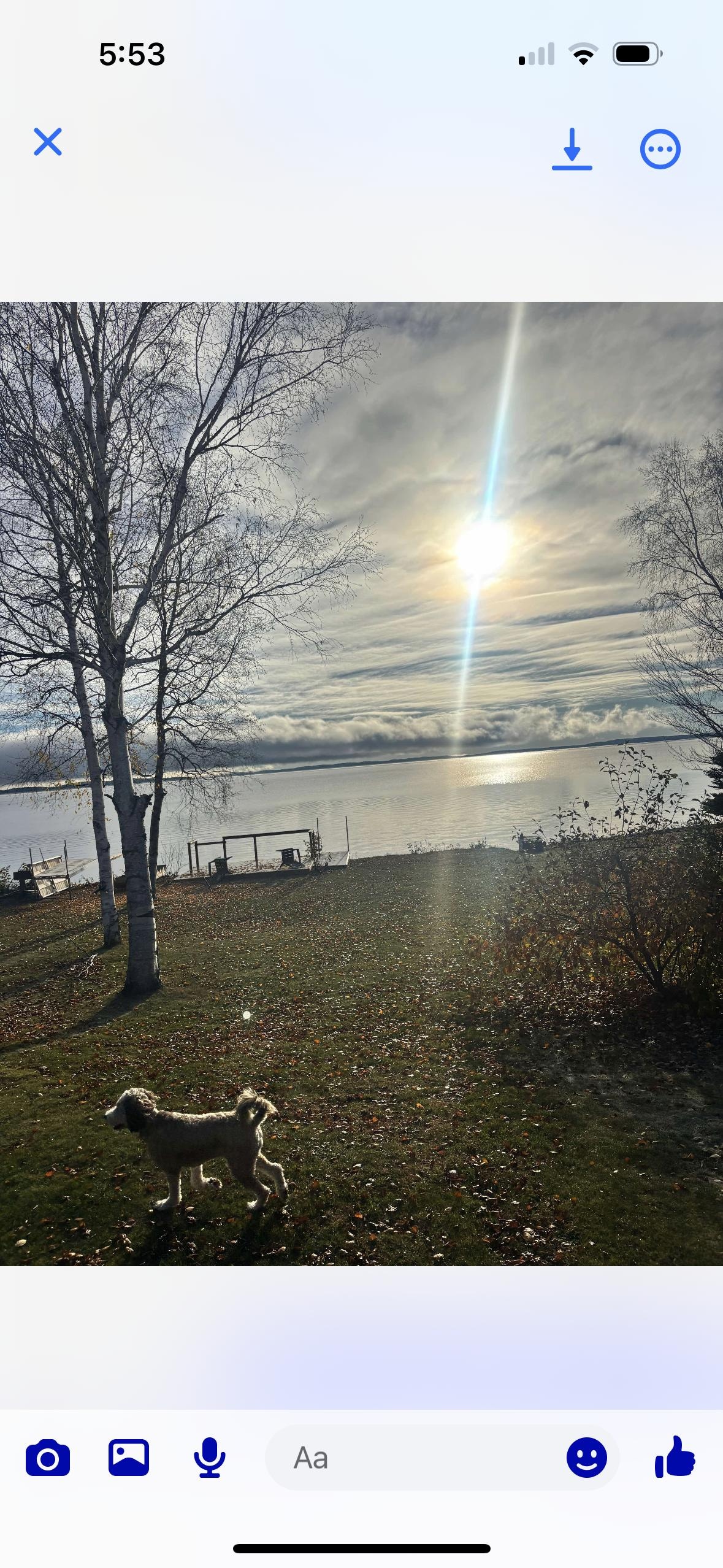 Dog friendly, which was wonderful