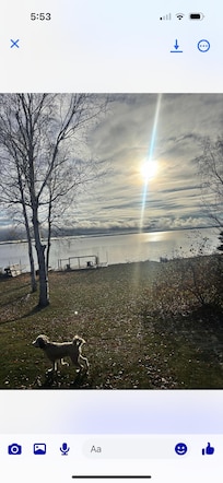 Dog friendly, which was wonderful