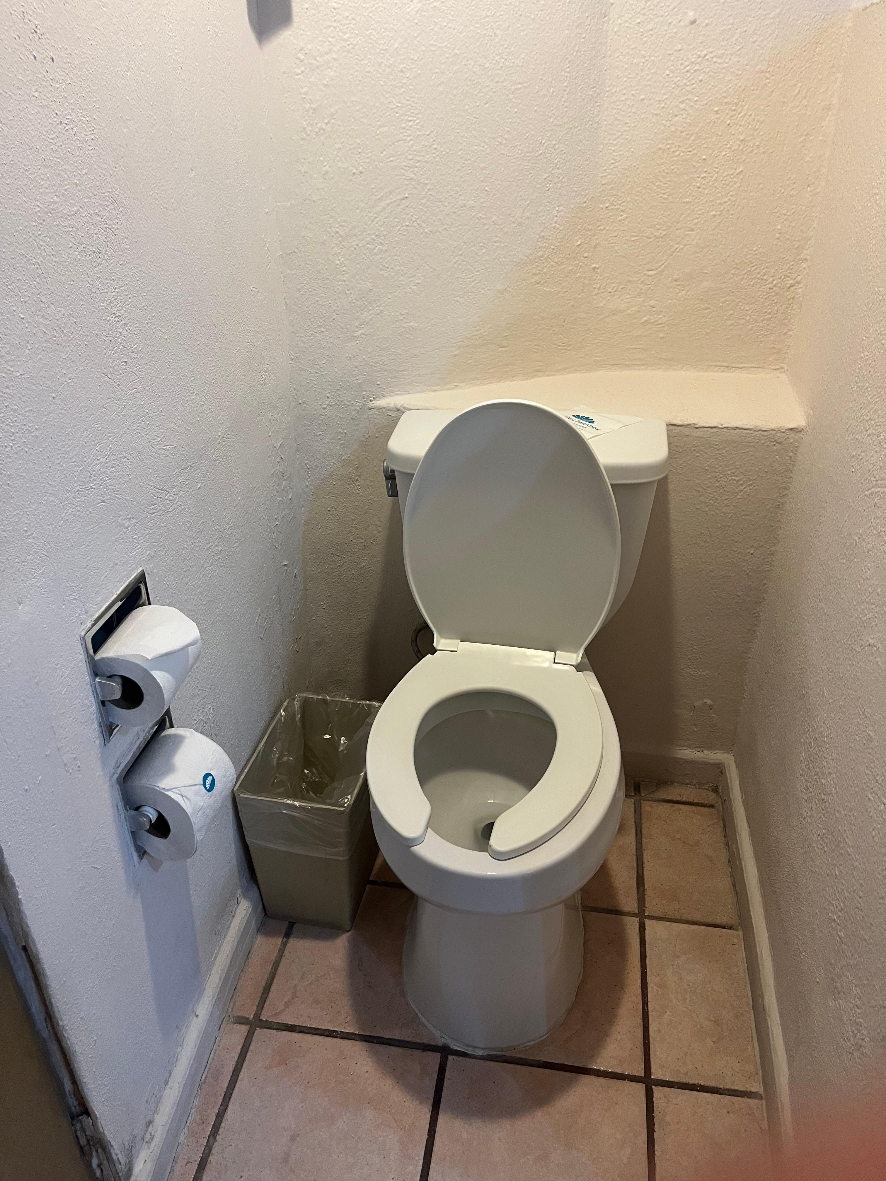 Broken toilet seat