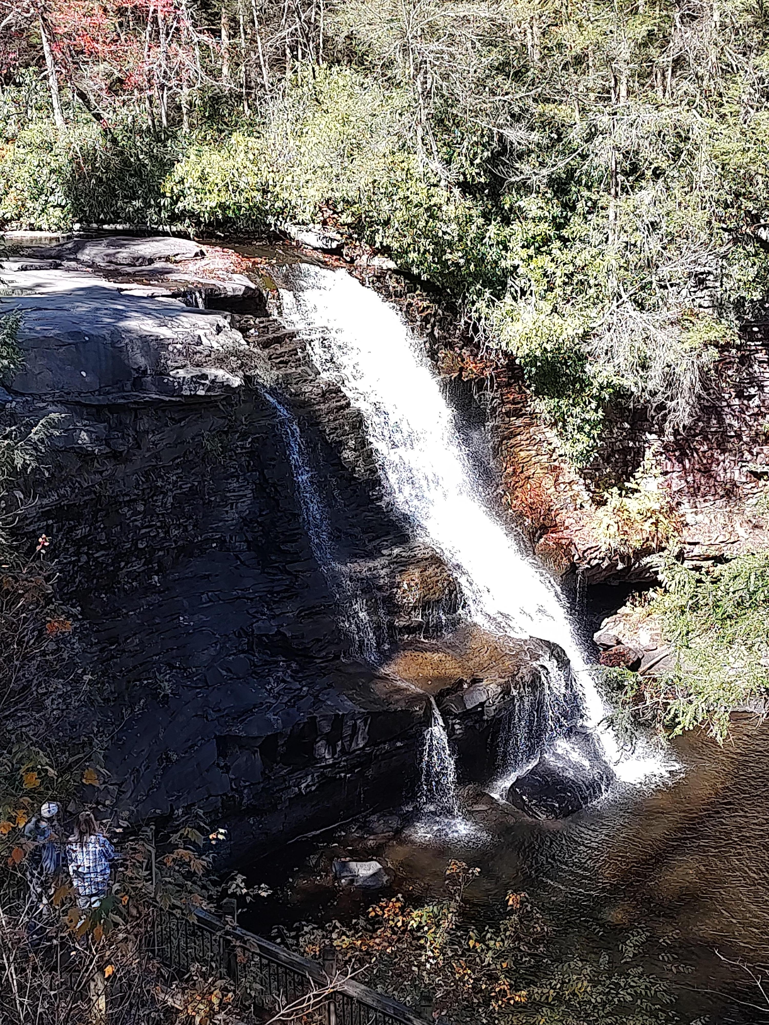 Swallow Falls is a must - short hike to this beautiful water fall!
