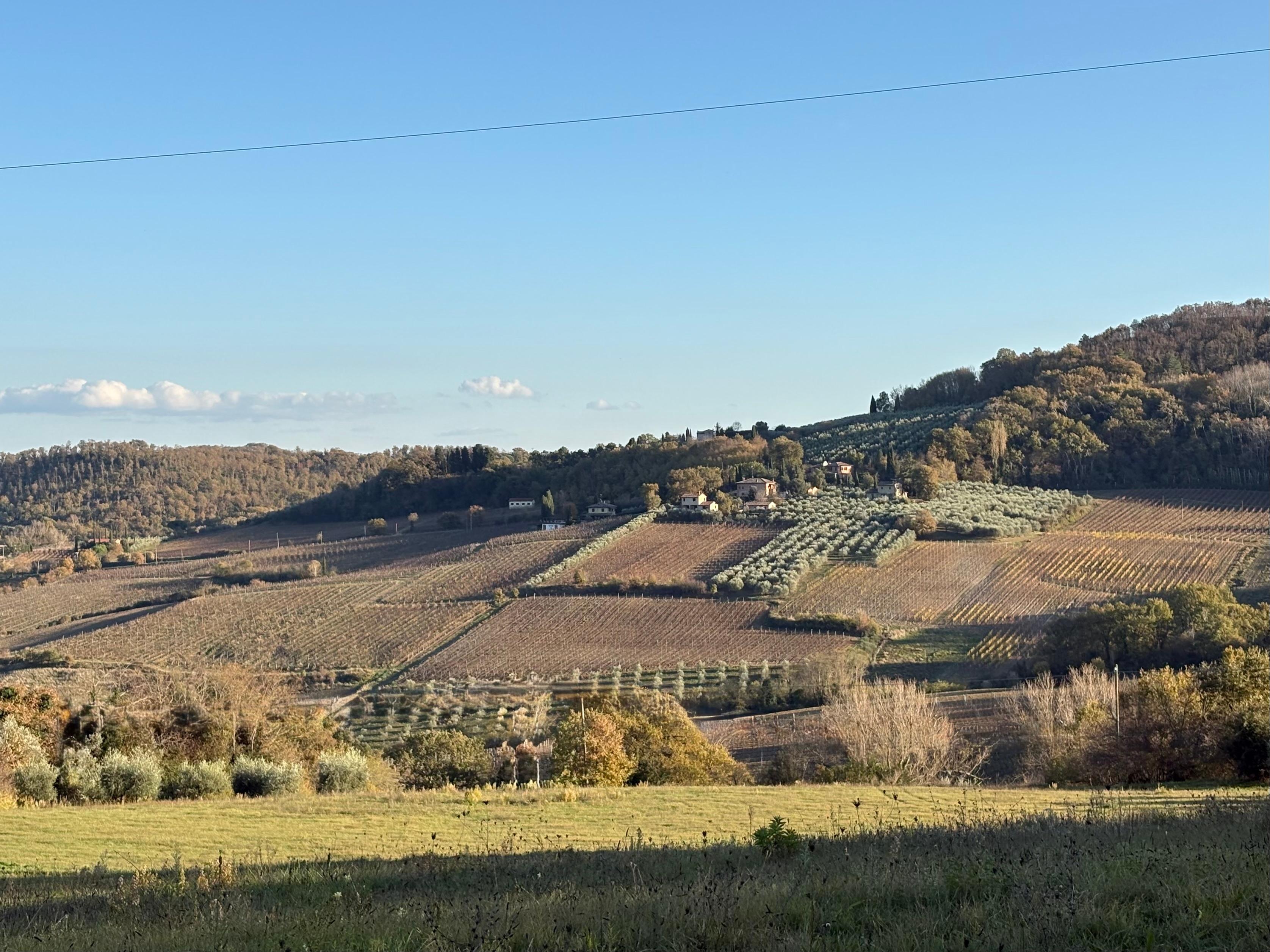 The view from the Villa’s terrace.