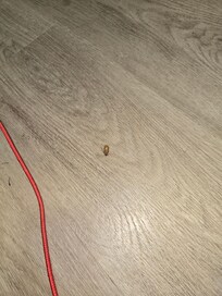 This is the one that blew out of the hair dryer.