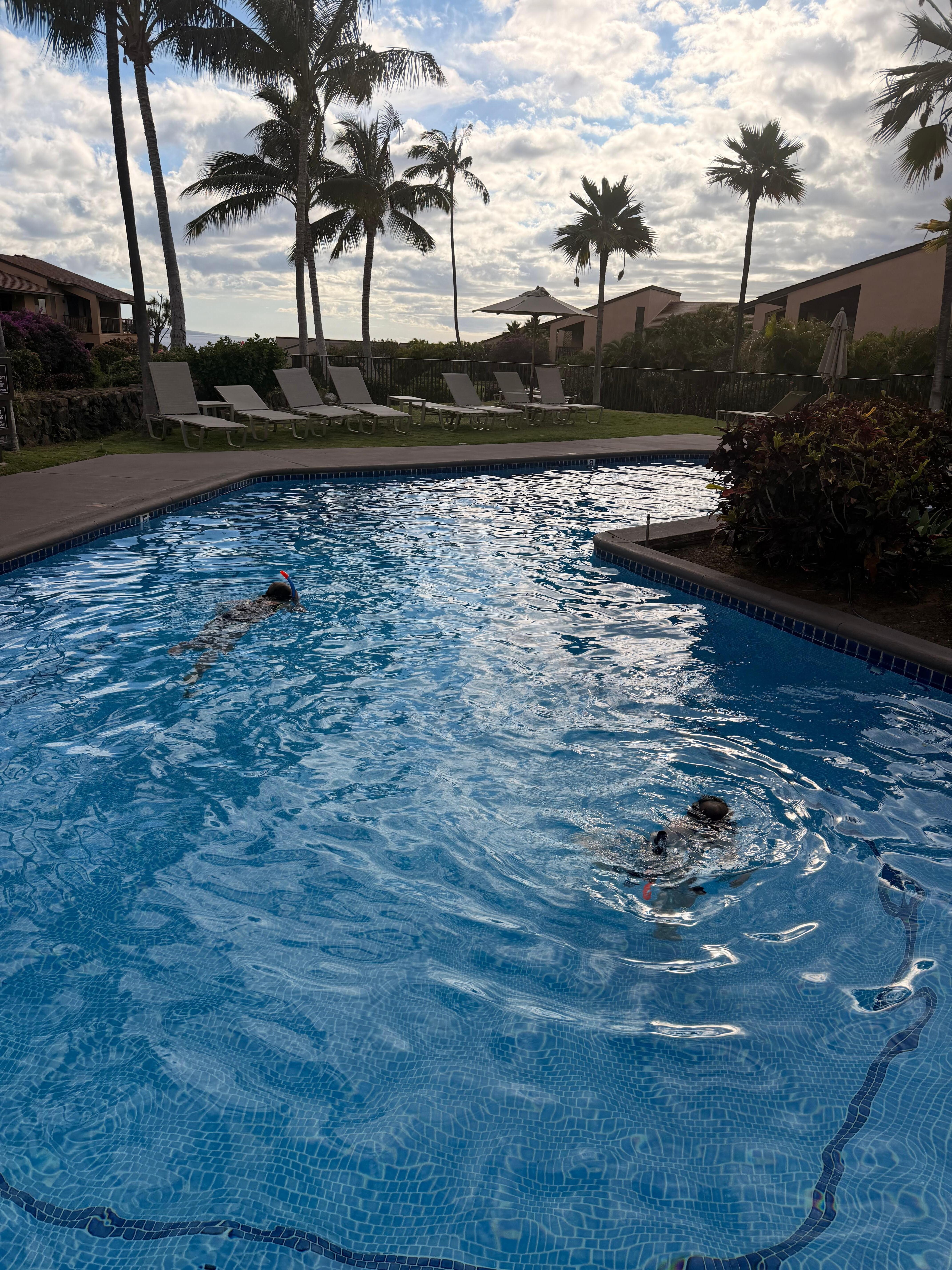 The quiet pool just steps away from our patio. 