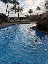 The quiet pool just steps away from our patio.