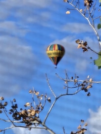 Morning hot air balloon, view from guest room