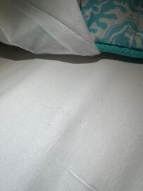 Another hair in the bed