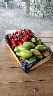 Geschenk vom Gärtner