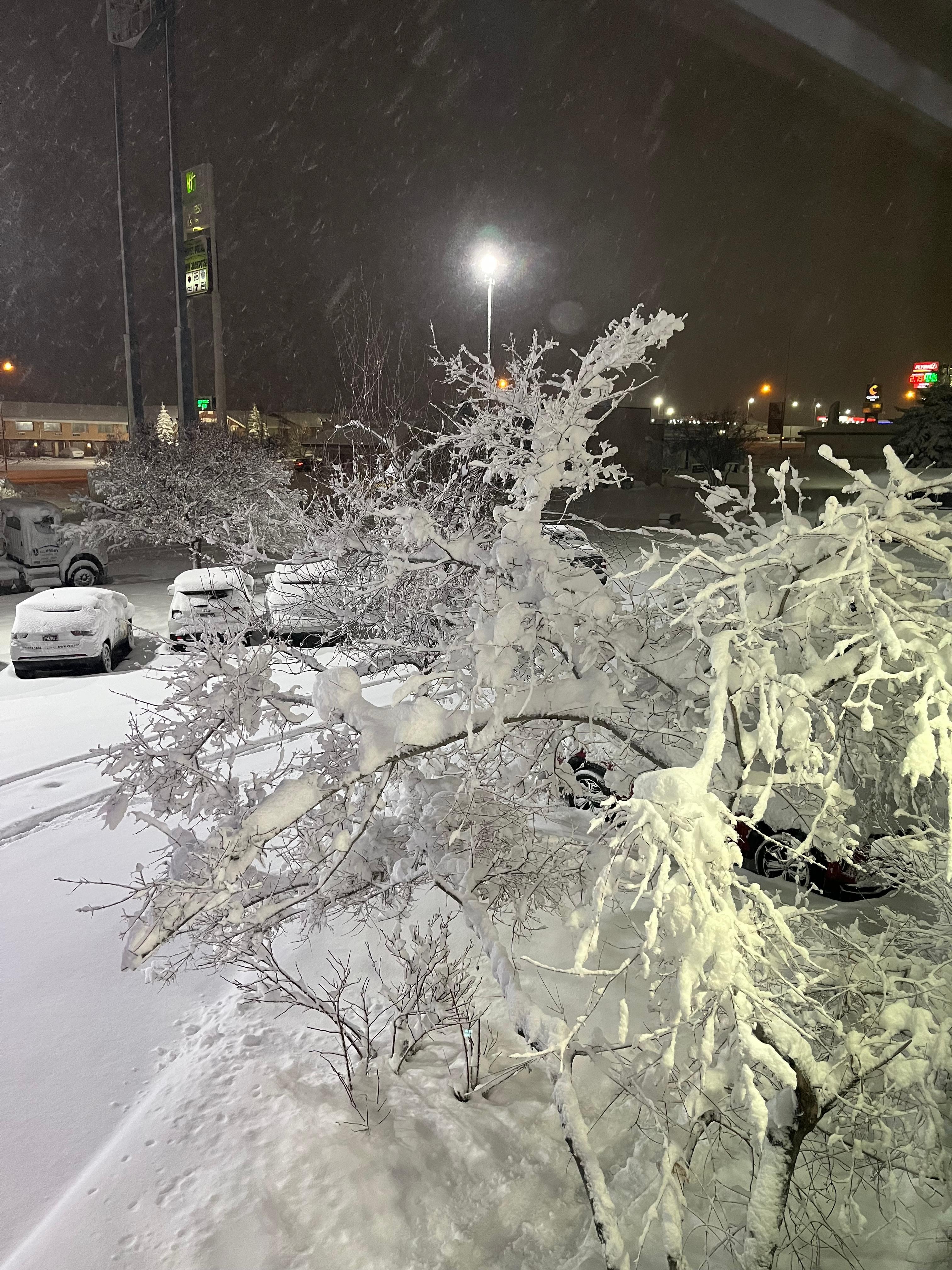 View from our window the next morning 