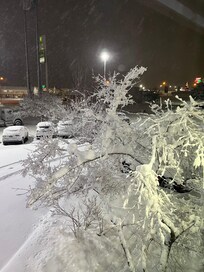 View from our window the next morning