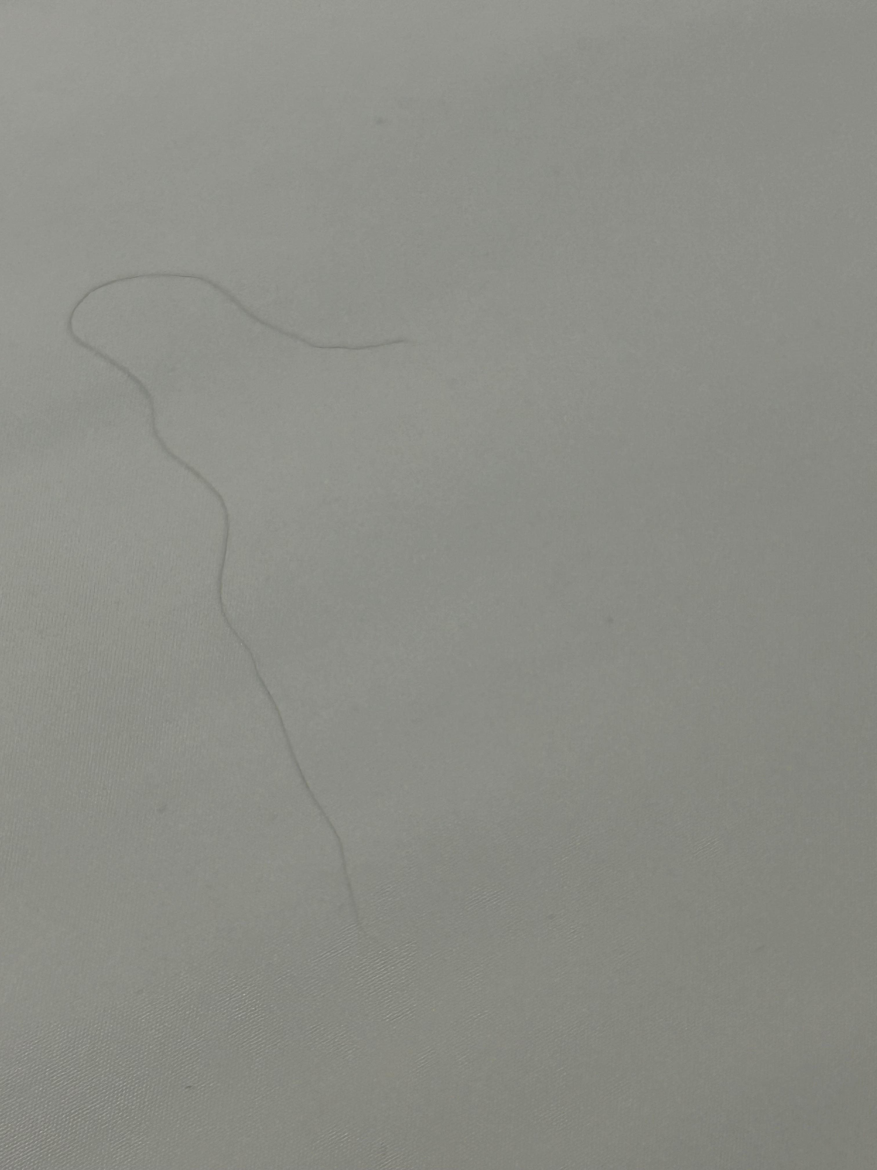 a piece of hair
