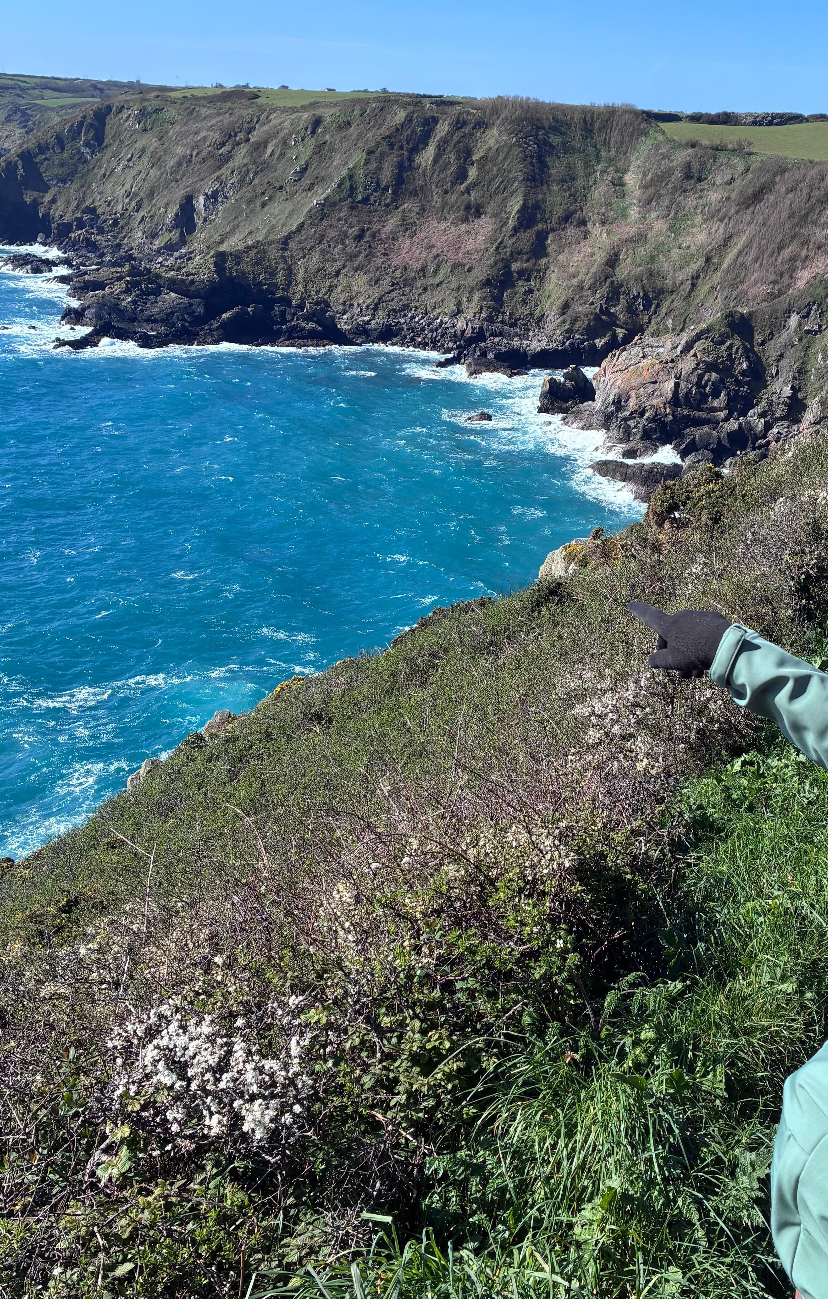 Perfect view from the Cadgwith coastal walk outside the carriage surrounds