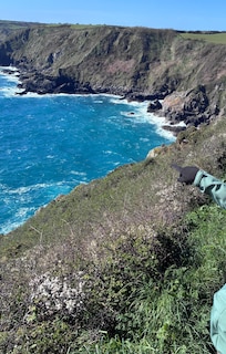 Perfect view from the Cadgwith coastal walk outside the carriage surrounds
