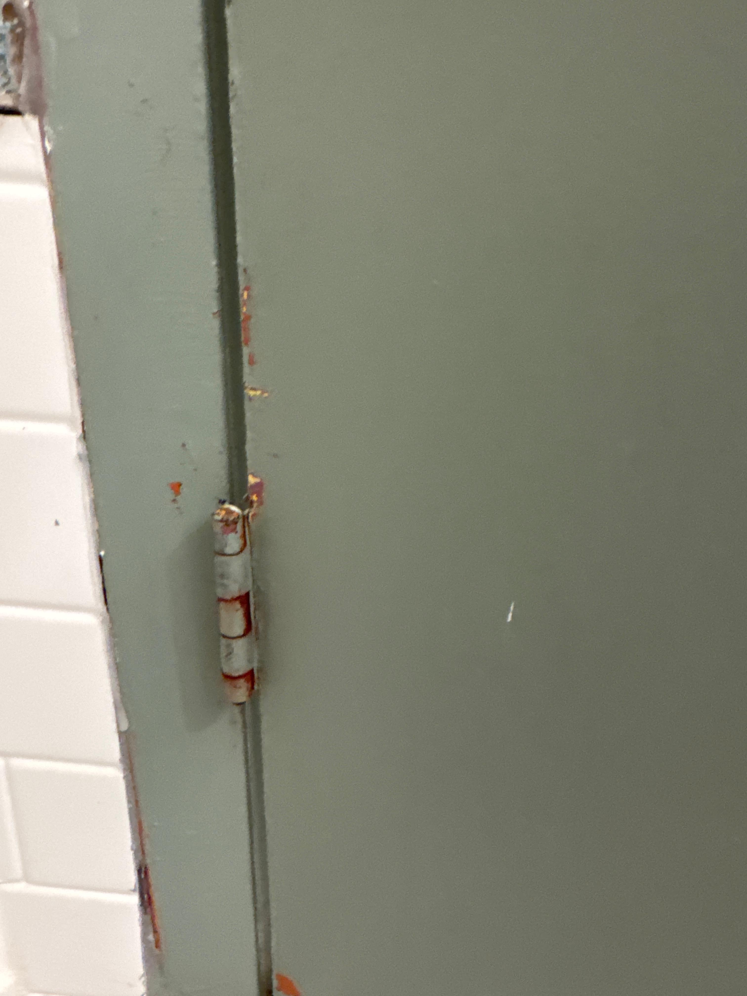 Chipped and rusted doors in bathroom