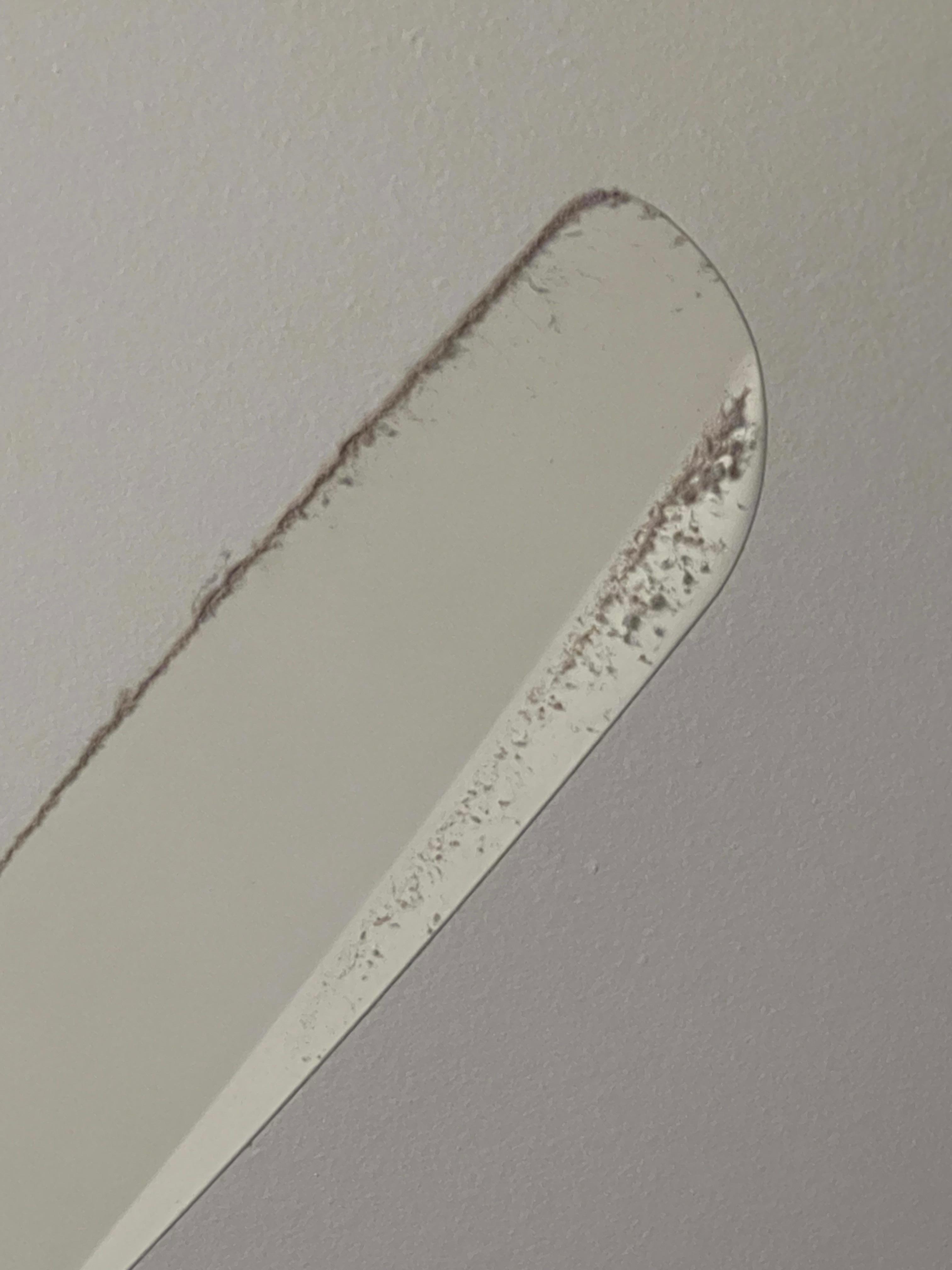 Ceiling fan in living room