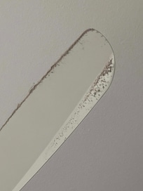 Ceiling fan in living room