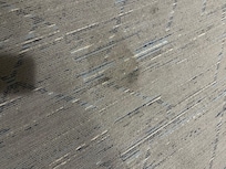 Stain in the room as you walked in.