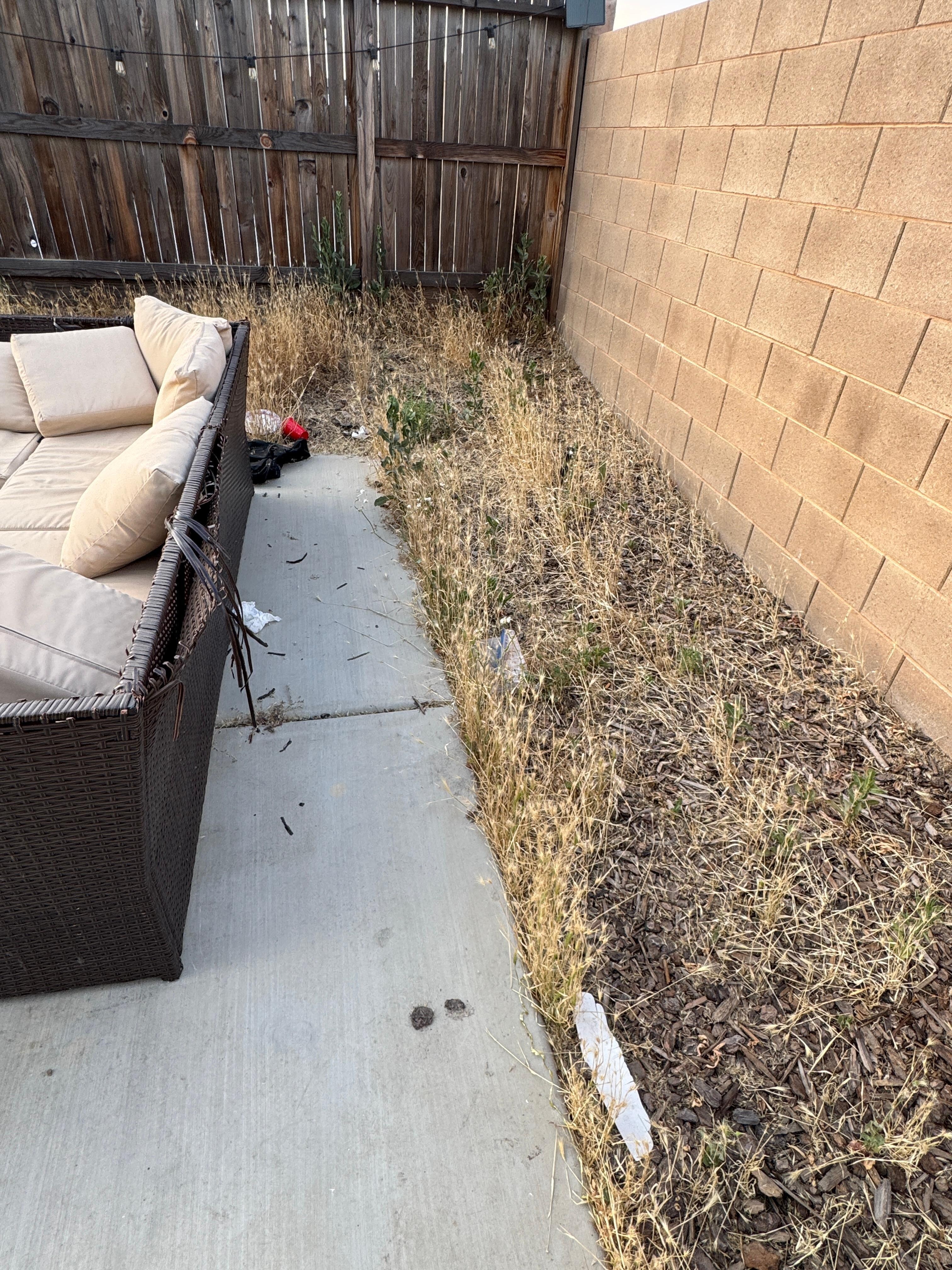 Pictures of back patio day we arrived.