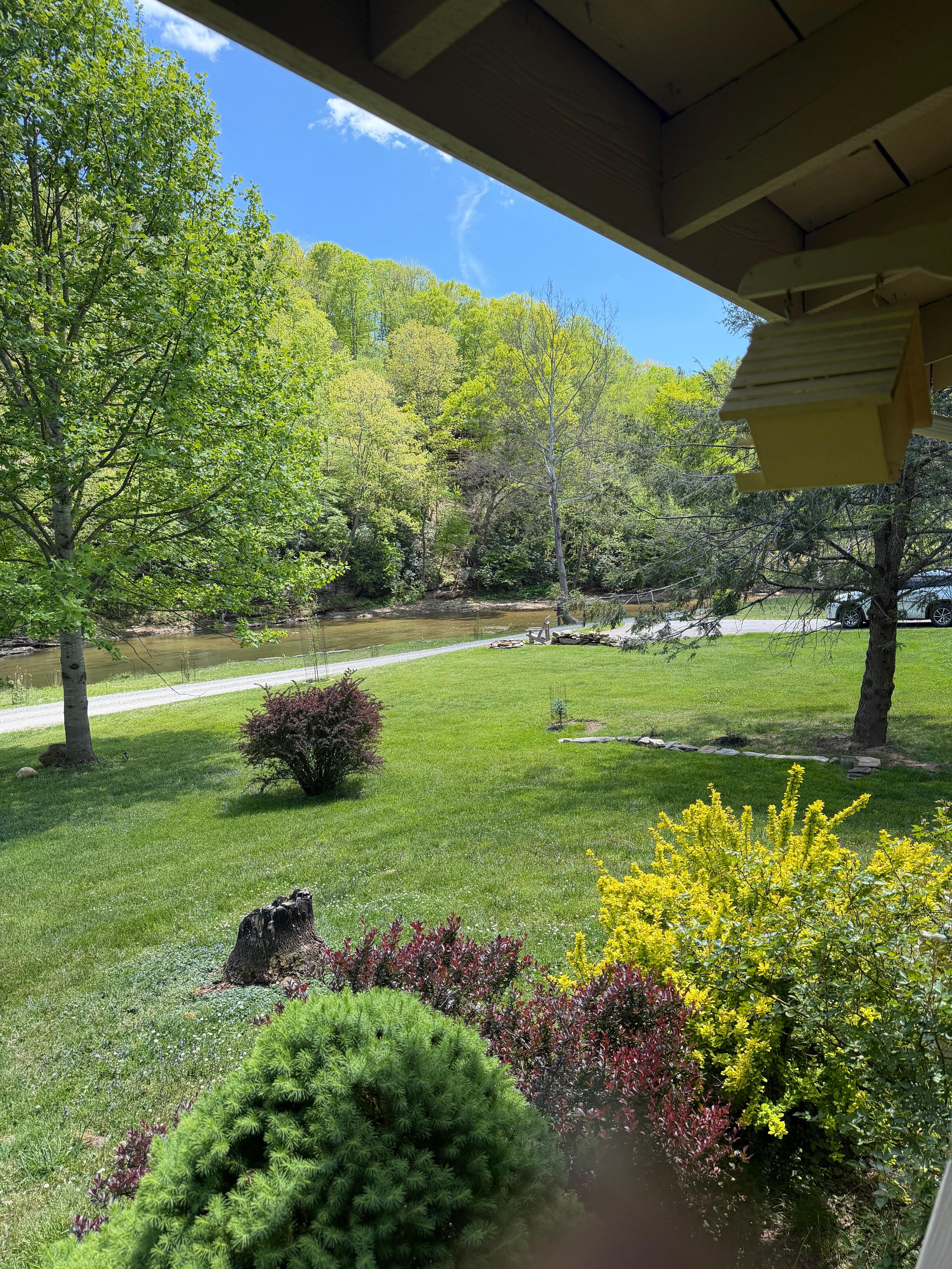 View from porch