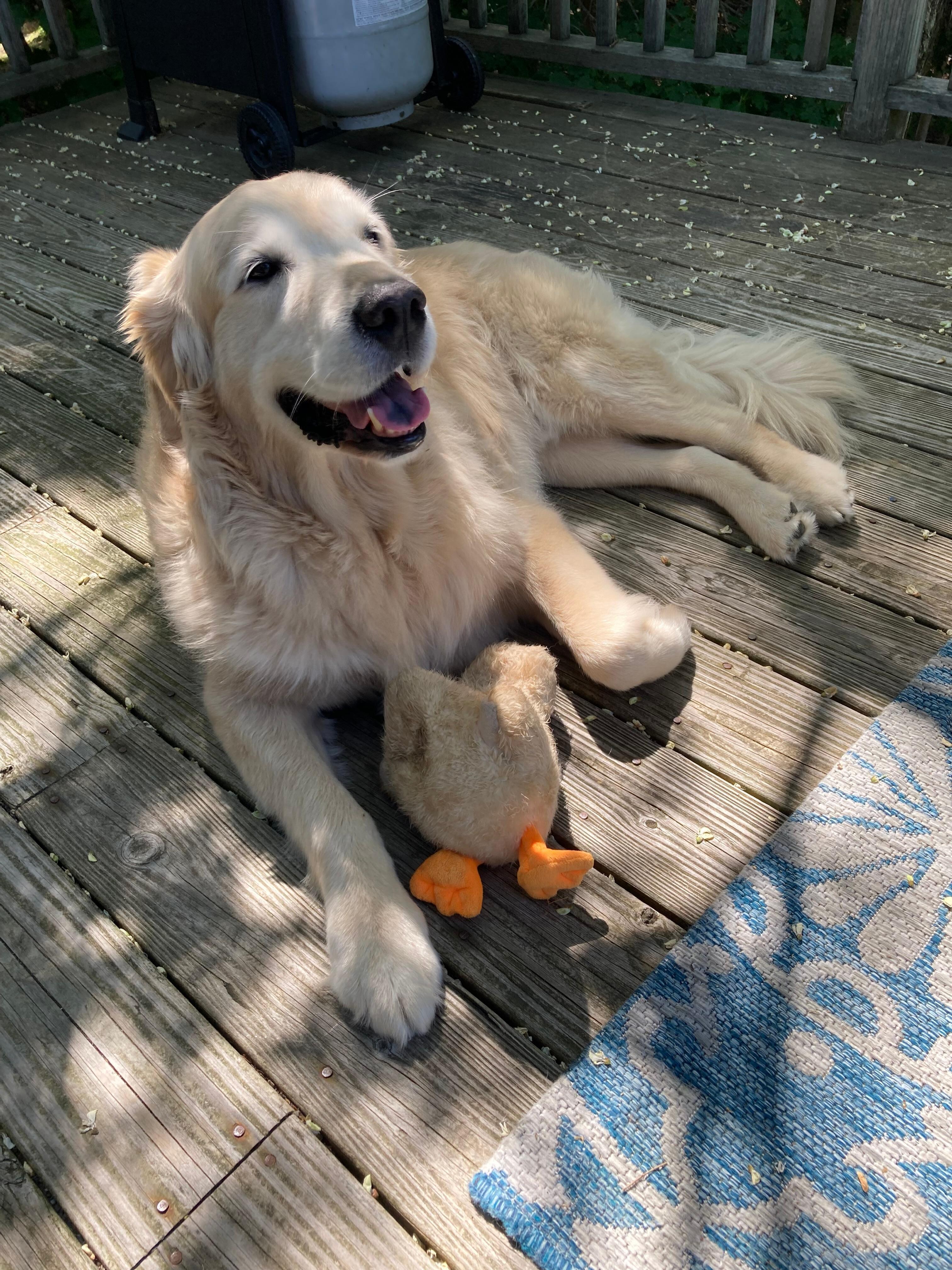 Eddie enjoying the deck! 