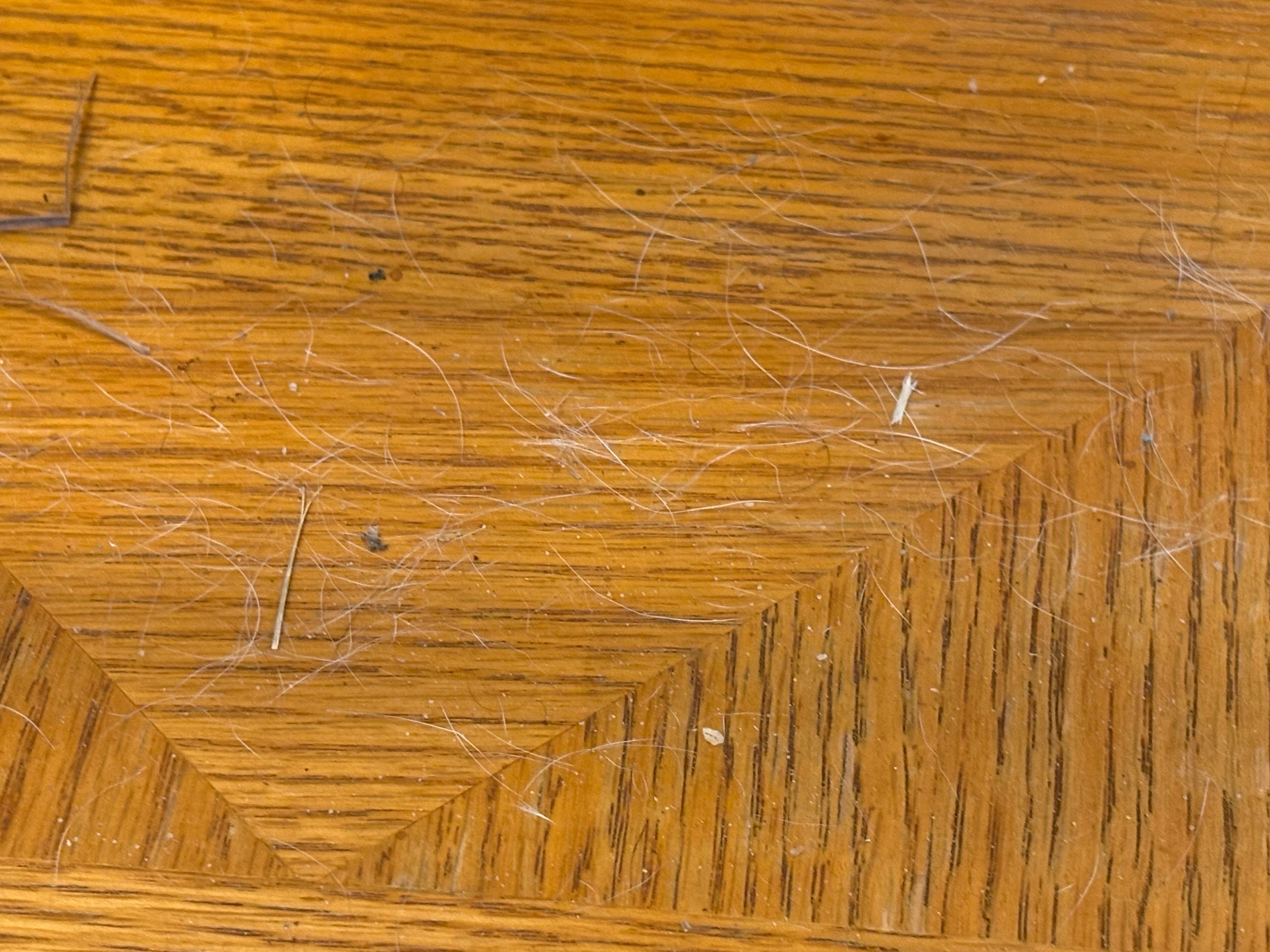 Pet hair covered furnitur