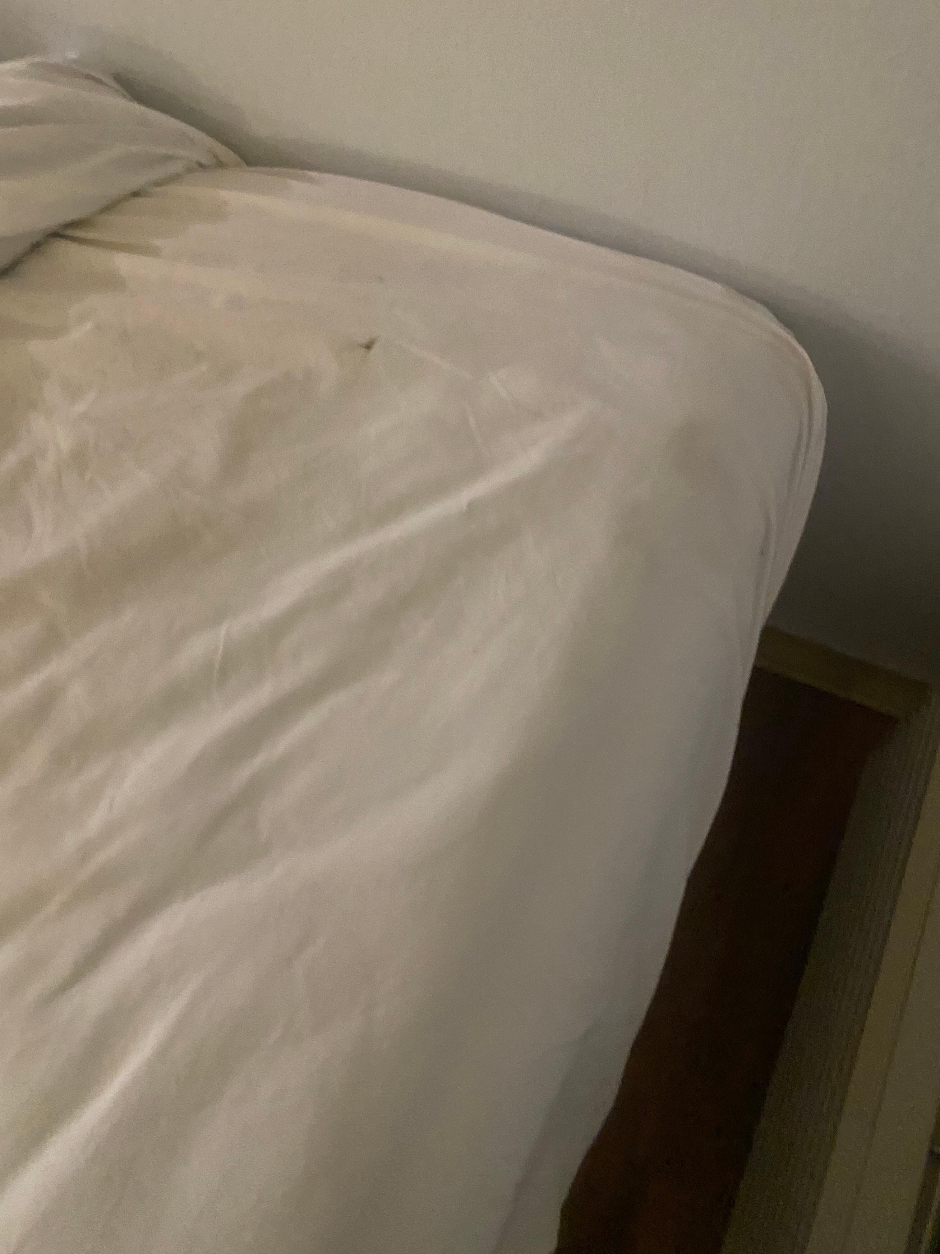 Other dirty bed