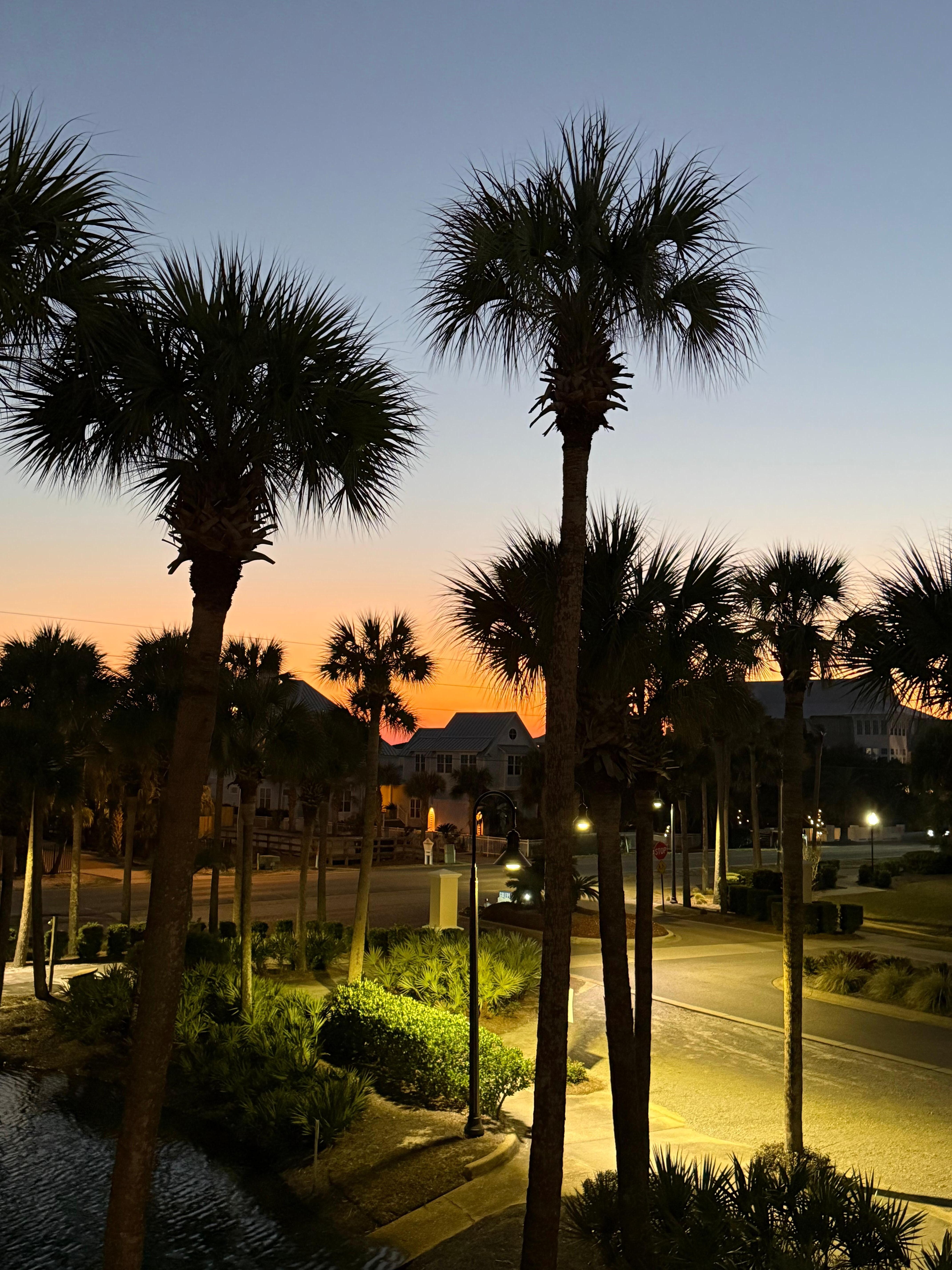 View at sunset from the balcony